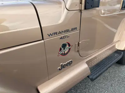 Jeep Wrangler 4.0 Sahara Hardtop — Légende tout-terrain, expertise du jour — Miniatur 9