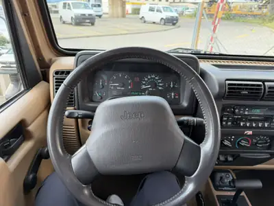 Jeep Wrangler 4.0 Sahara Hardtop — Légende tout-terrain, expertise du jour — Miniatur 13