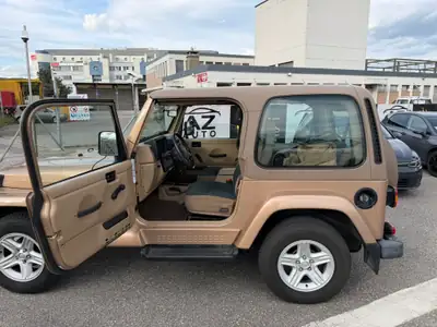 Jeep Wrangler 4.0 Sahara Hardtop — Légende tout-terrain, expertise du jour — Miniatur 16