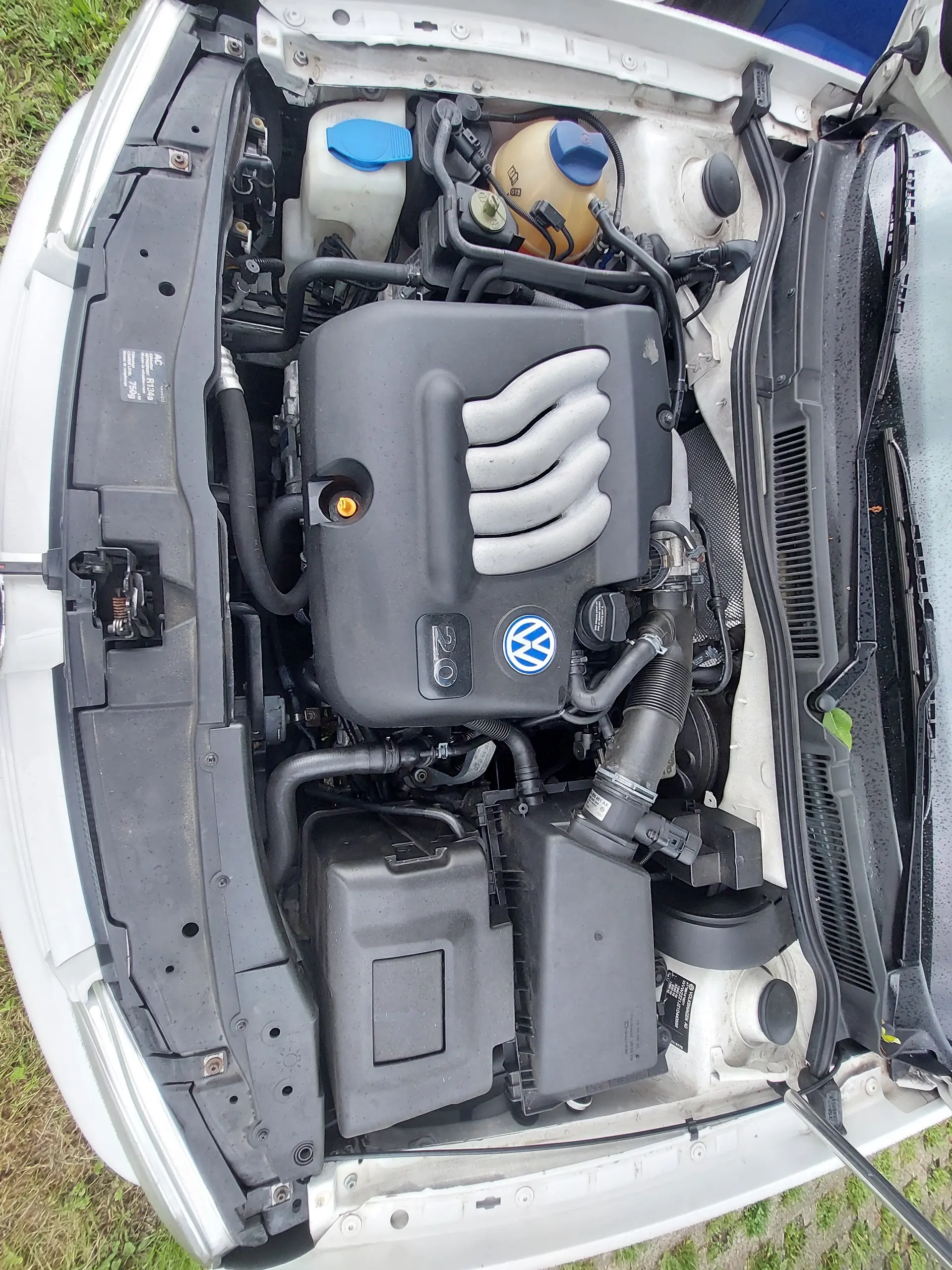 Volkswagen Golf 2001 occasion Palézieux — 3