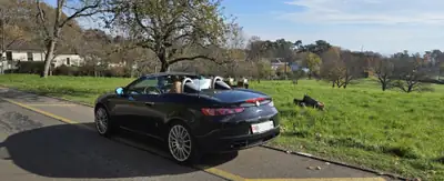 Alfa Romeo Spider 3.2 JTS V6 — Cabriolet légendaire, 260 ch, état impeccable — Thumbnail 9