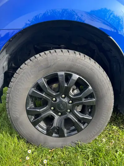 Ford Ranger Wildtrak 3.2 TDCi 4x4 — Pick-up premium, 48 400 km, sans sinistre — Miniature 7