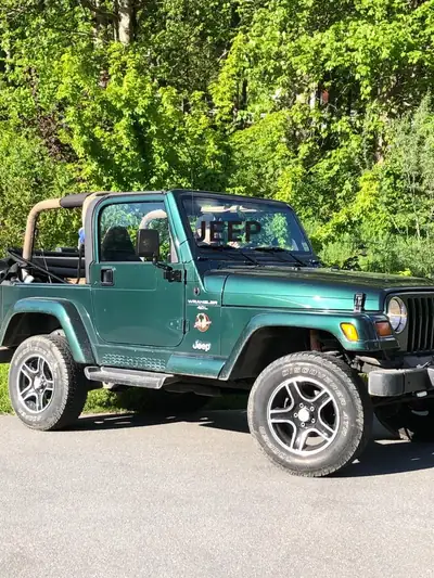 Jeep Wrangler 4.0 Sahara Hard Top — Légende 4x4 des années 90, châssis robuste — arrière