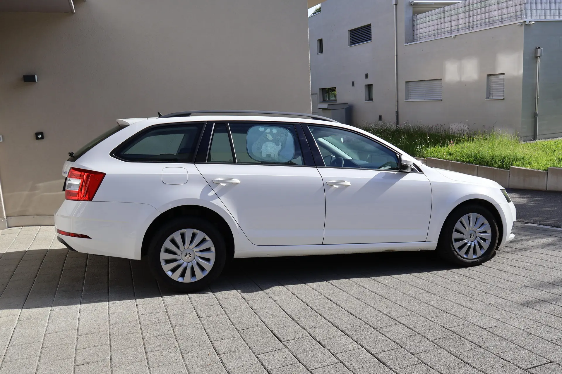 Skoda Octavia 2019 occasion St. Gallenkappel — 3