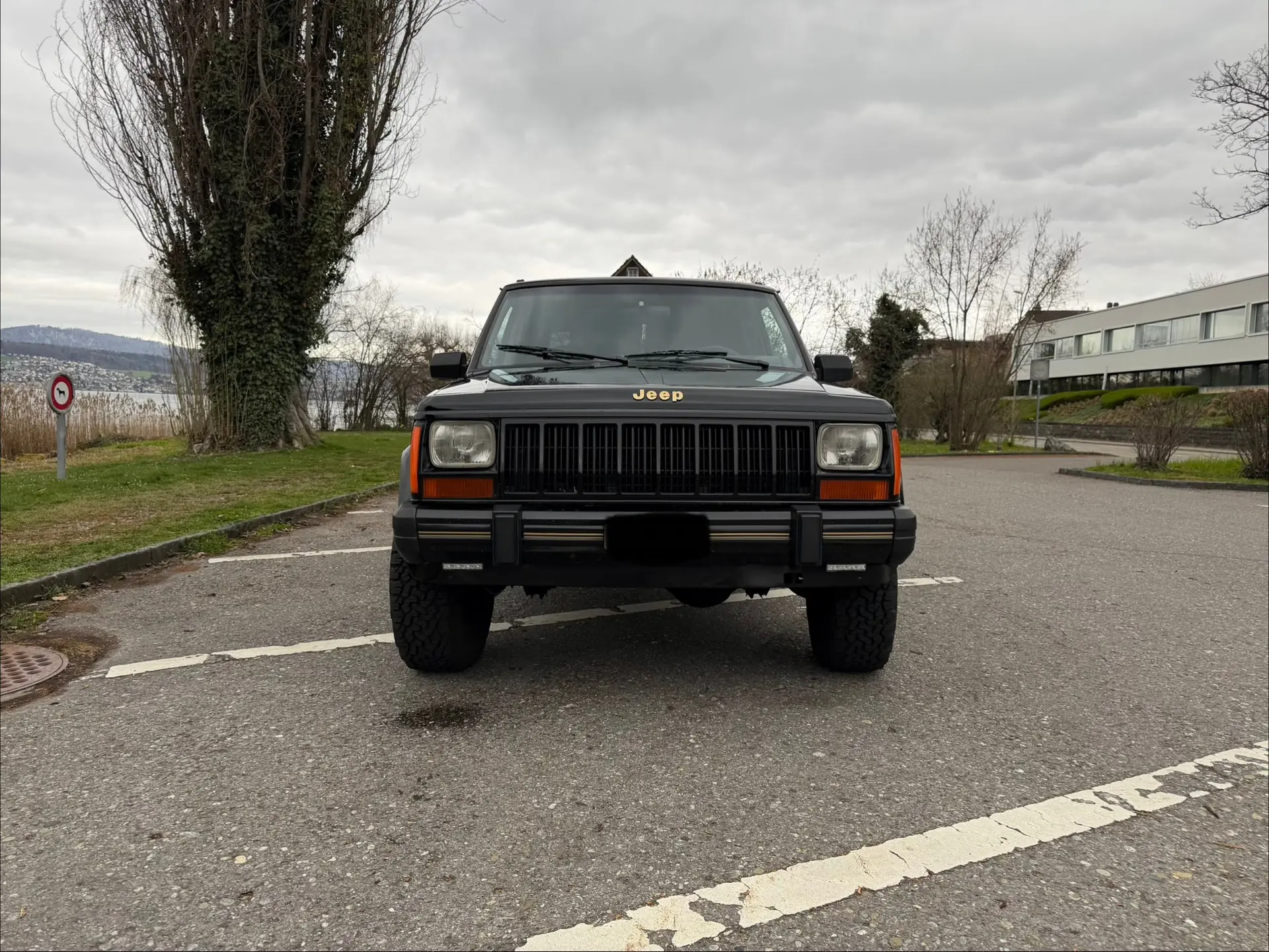 Jeep Cherokee 1990 occasion Uetikon am See — 4