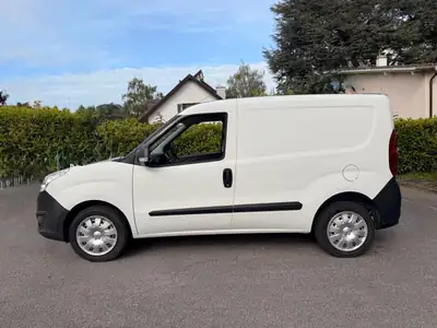 Opel Combo 1.4i — Utilitaire polyvalent, économique et sans sinistre — arrière