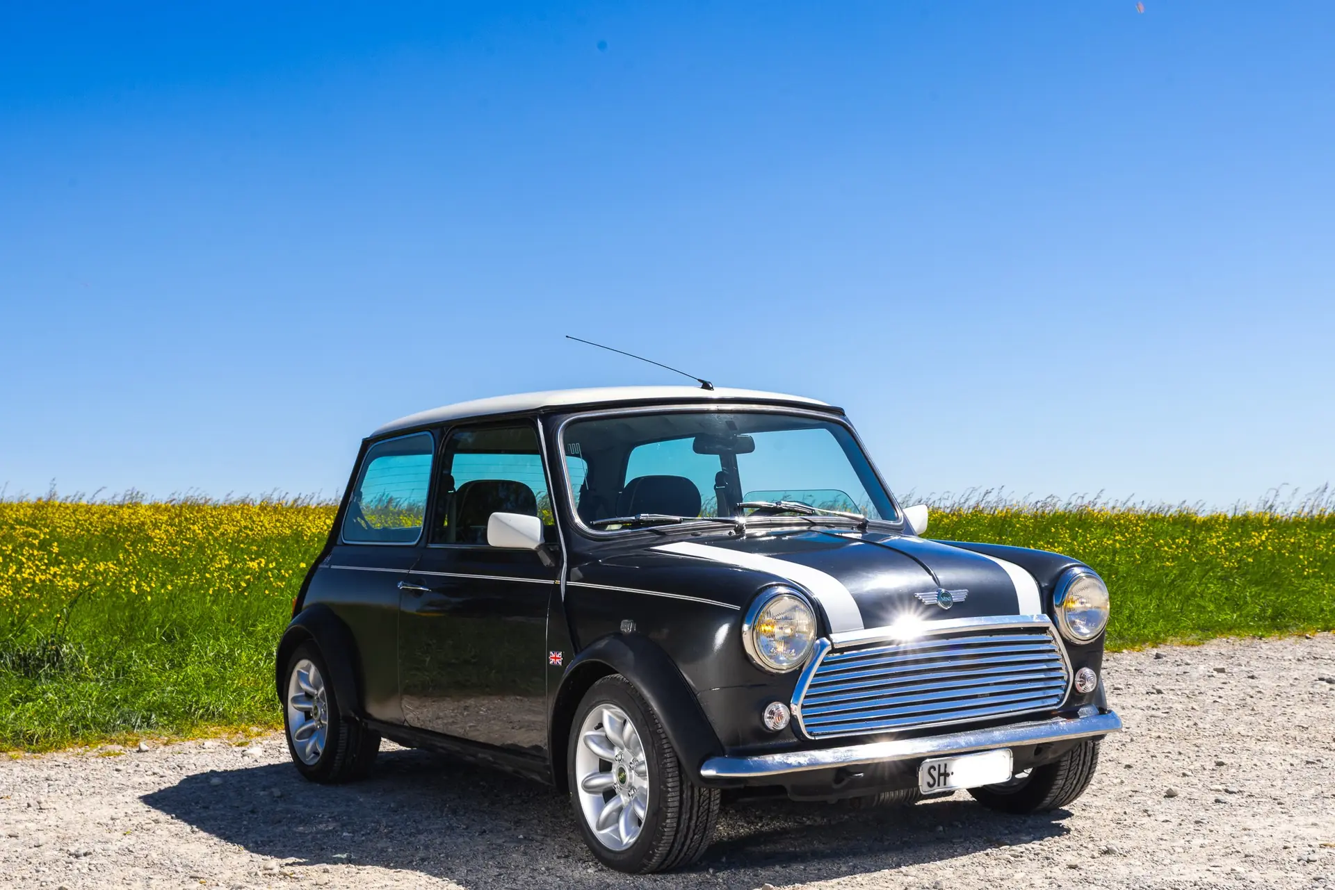 MINI Cooper 1997 Brooklands — Édition rare, cuir intégral, seulement 71'000 km — vista esterna