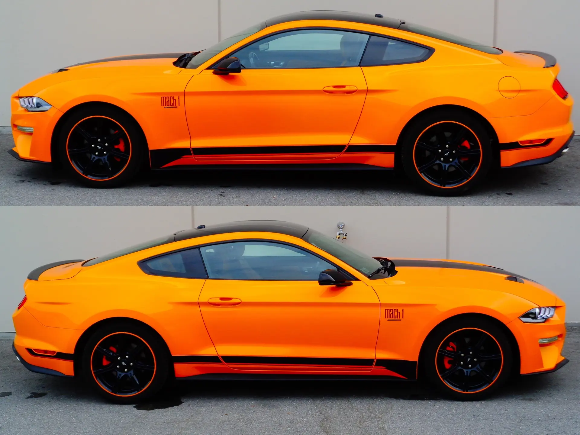 Ford Mustang 2019 occasion Susten — 5