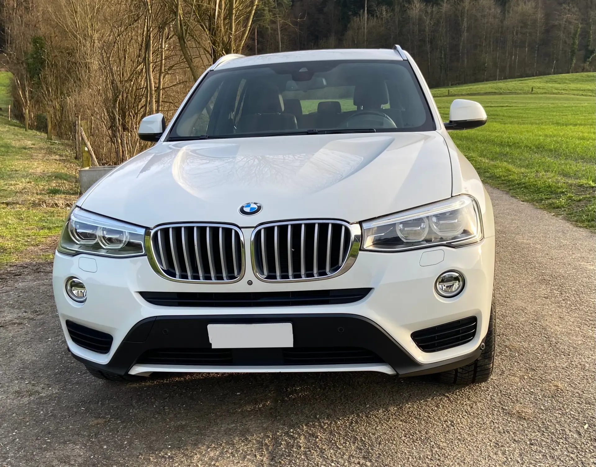 BMW X3 2015 occasion Rorbas — 4