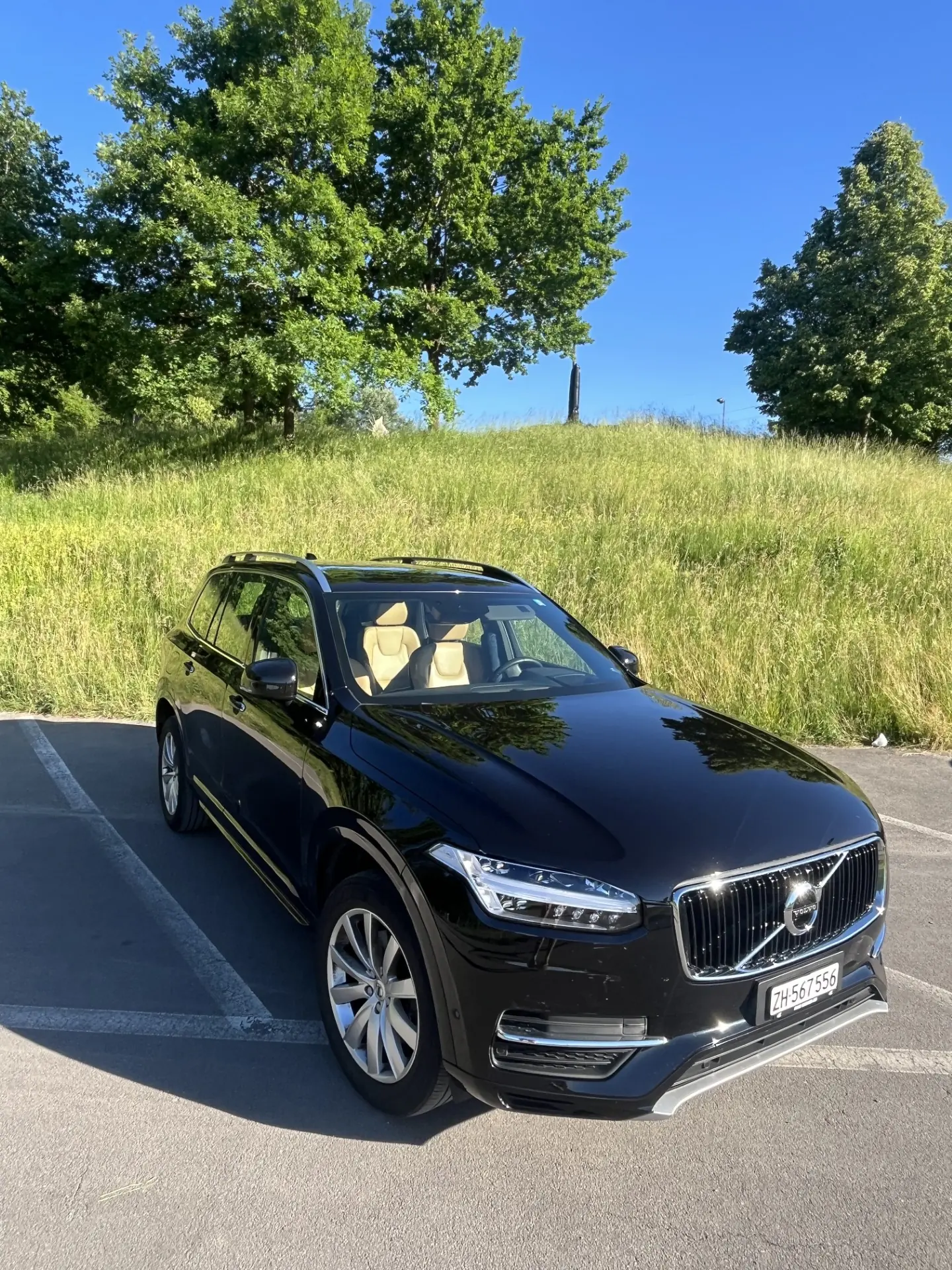 Volvo XC90 2017 occasion Gattikon — 1