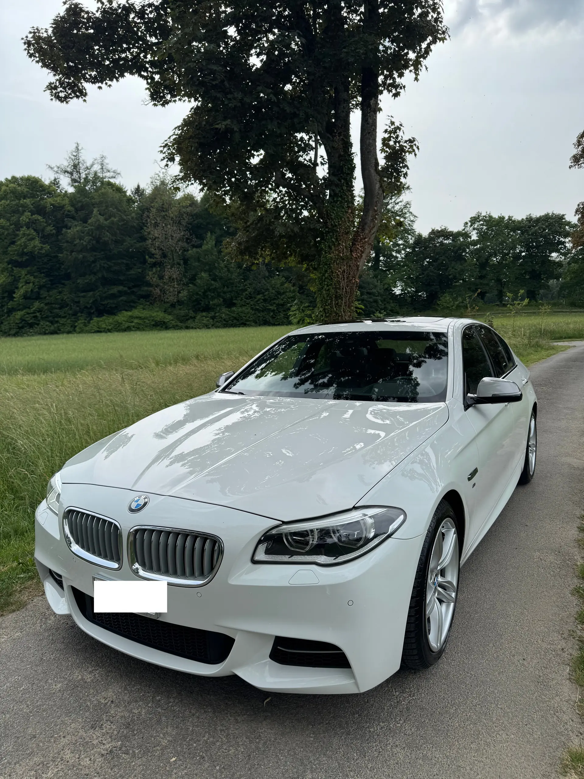 BMW M550d xDrive 2014 — Berline de prestige, 381 ch diesel, entretien impeccable