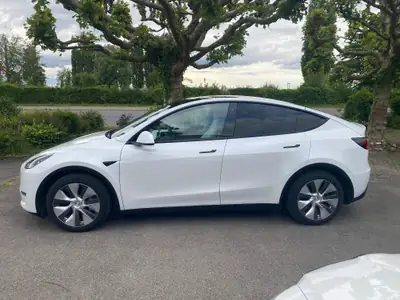 Tesla Model Y Long Range Dual Motor — SUV électrique haute performance, 87 000 km — côté
