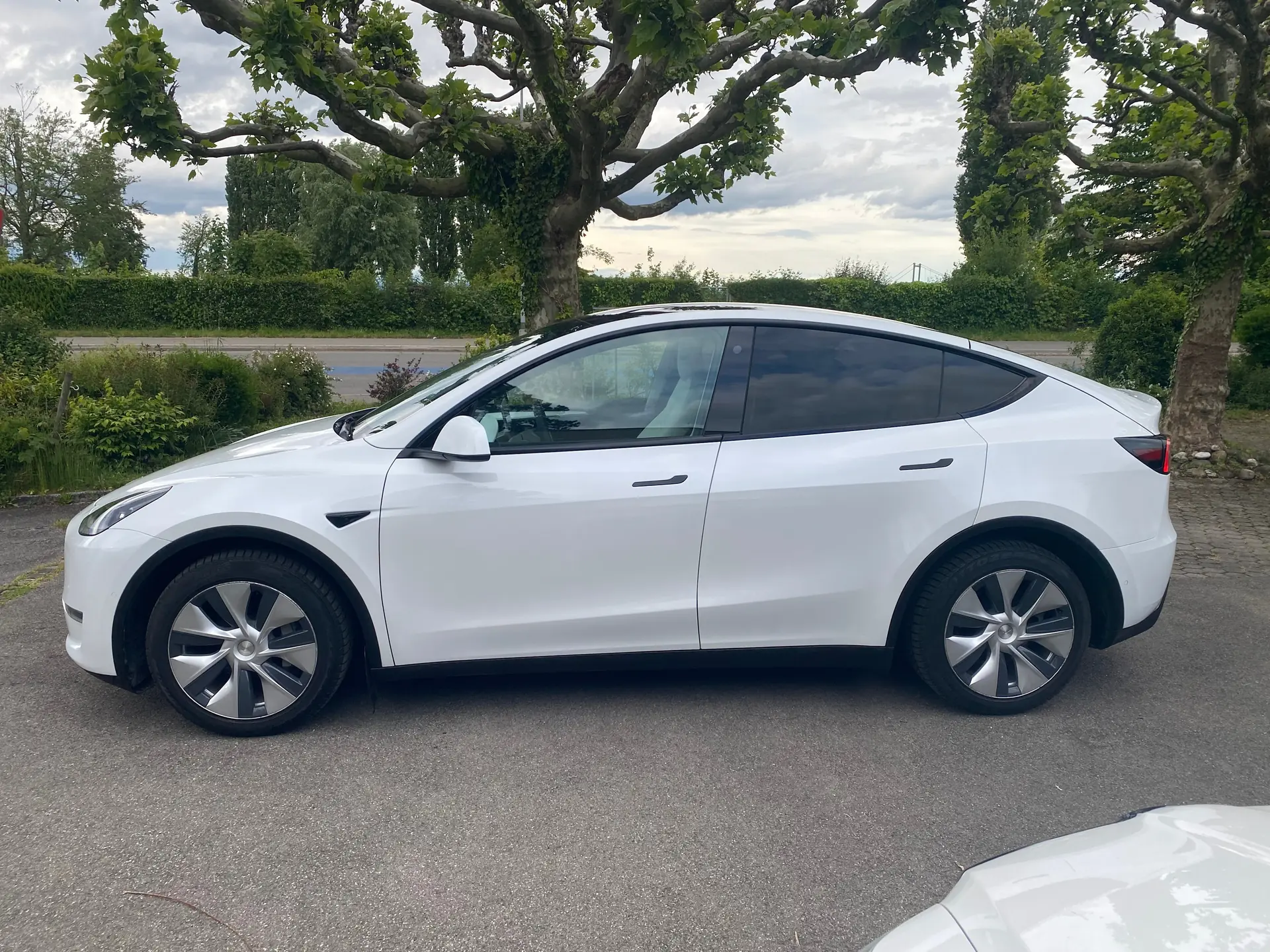 Tesla Model Y 2021 occasion Uttwil — 2