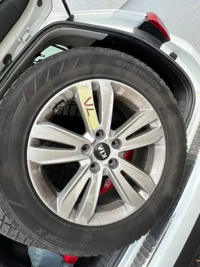 Kia Sportage 2.0 CRDi Trend — SUV compact robuste, Diesel efficace, sans sinistre — Miniatura 20