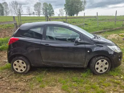 Ford KA 1.2 Tattoo 2011 — Citadine économe, entretien maîtrisé — Seitenansicht