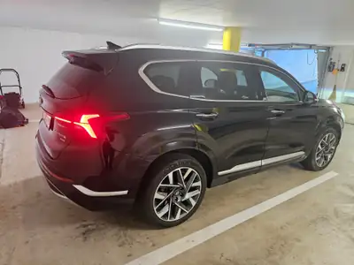 Hyundai Santa Fe 2.2 CRDi Vertex — SUV 7 places robuste, 131 000 km seulement — rear view