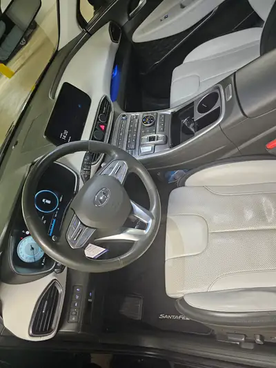 Hyundai Santa Fe 2.2 CRDi Vertex — SUV 7 places robuste, 131 000 km seulement — detail