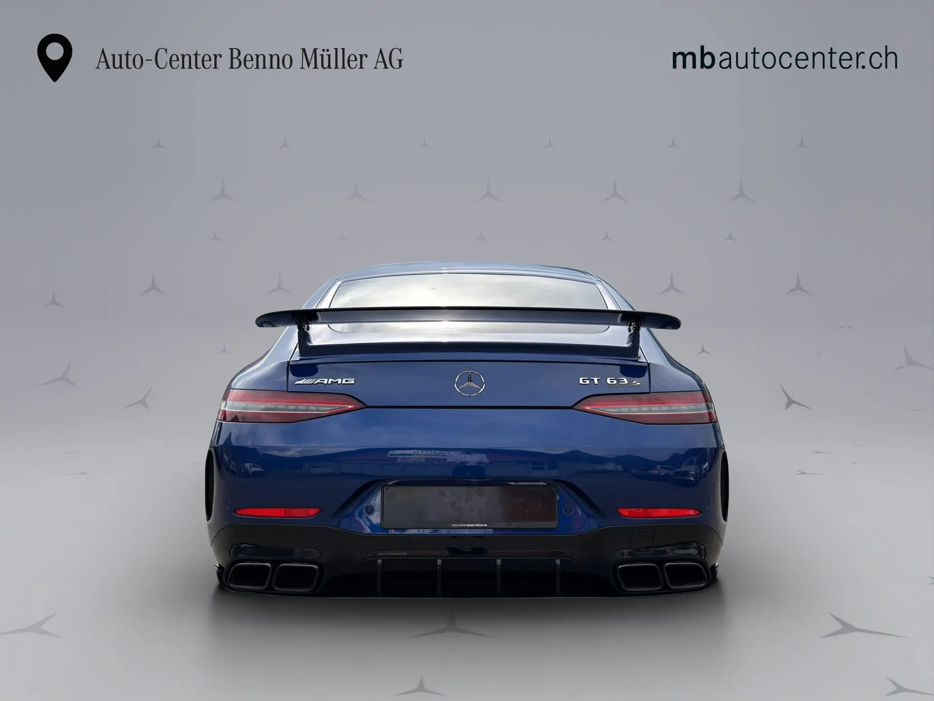 Mercedes-Benz AMG GT 2019 occasion Ibach — 4