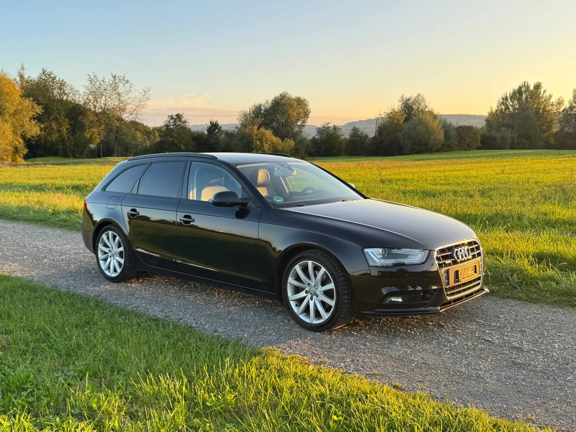 Audi A4 2014 occasion Schwerzenbach — 1