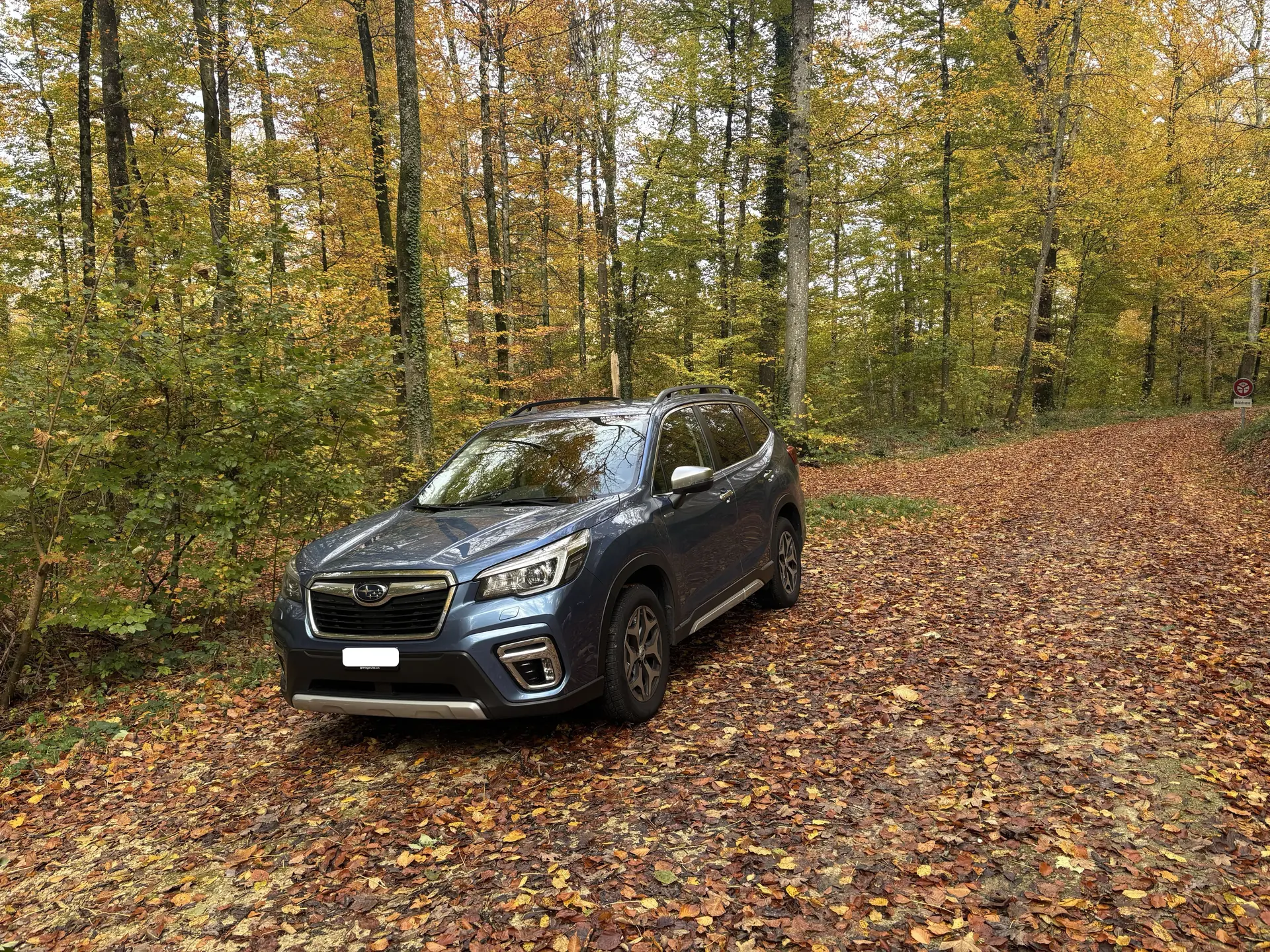 Subaru Forester 2.0i e-Boxer Swiss Plus — SUV hybride mild, 117'000 km, sans sinistre — vue extérieure