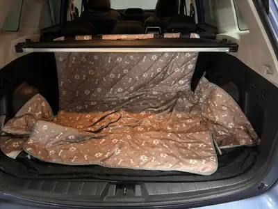 Subaru Forester 2.0i e-Boxer Swiss Plus — SUV hybride mild, 117'000 km, sans sinistre — arrière