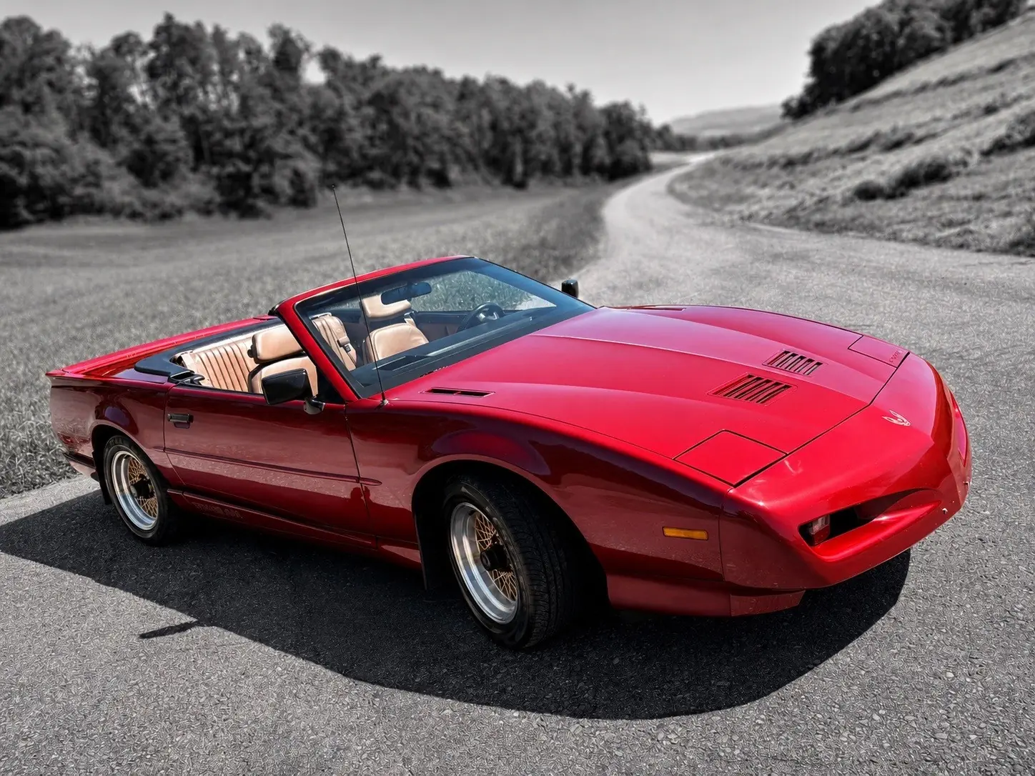 Pontiac Firebird 1992 occasion Basel — 2