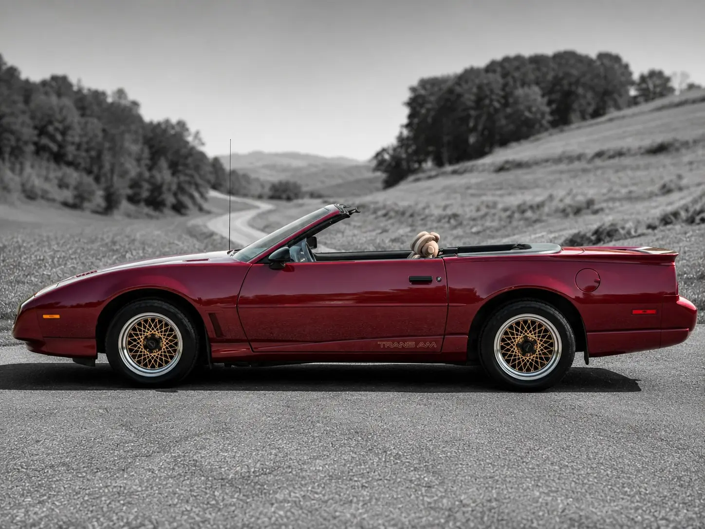 Pontiac Firebird 1992 occasion Basel — 4