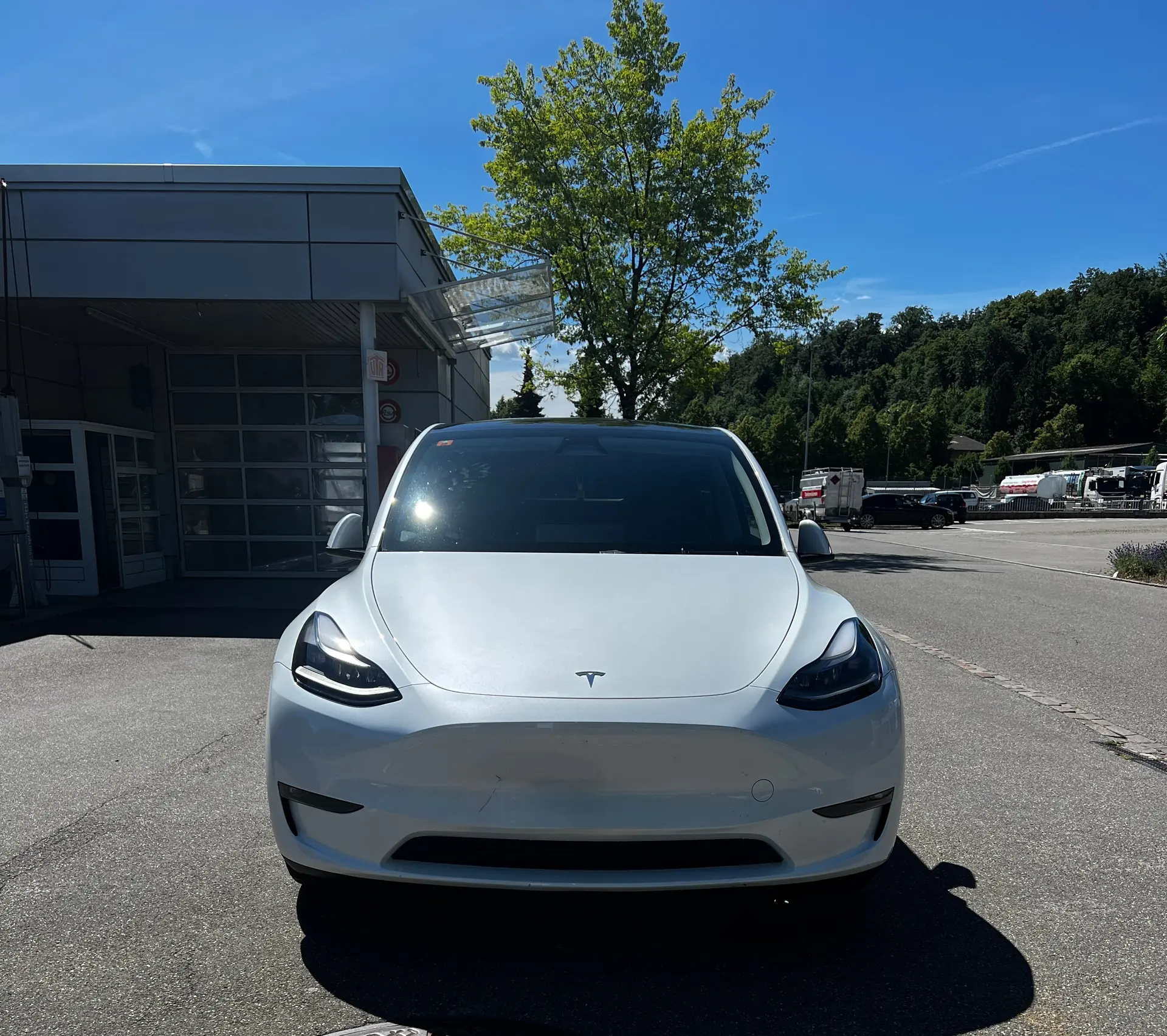 Tesla Model Y 2024 occasion Birrhard — 2