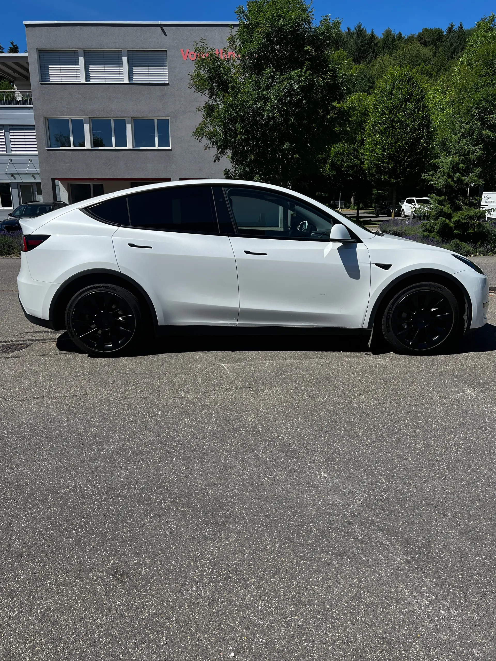 Tesla Model Y 2024 occasion Birrhard — 3