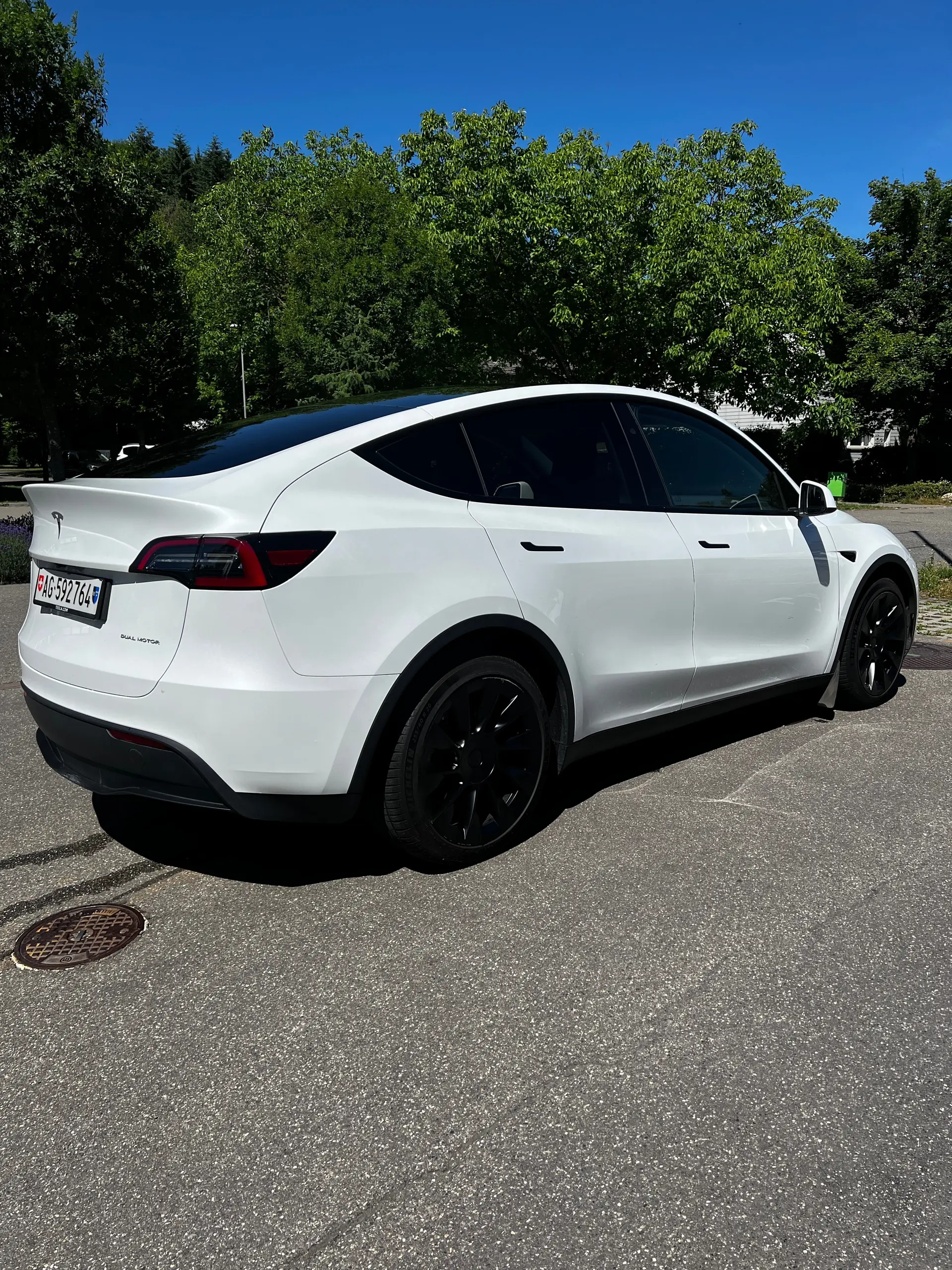 Tesla Model Y 2024 occasion Birrhard — 4