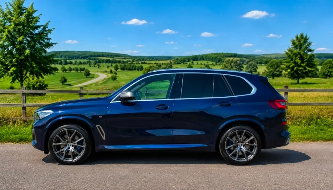 BMW X5 2020 occasion Chêne-Bourg — 2