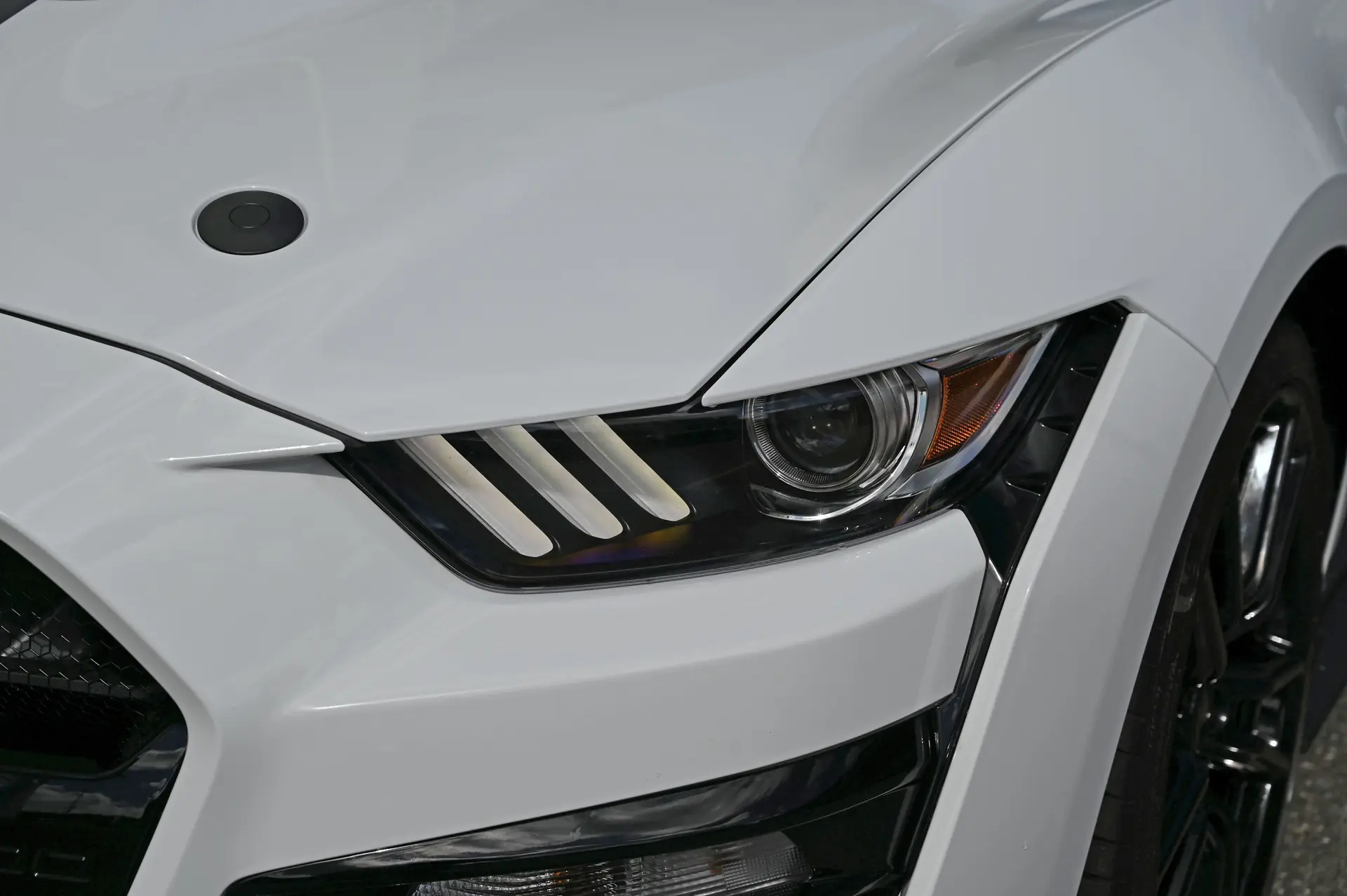 Ford Mustang 2022 occasion Suhr — 5