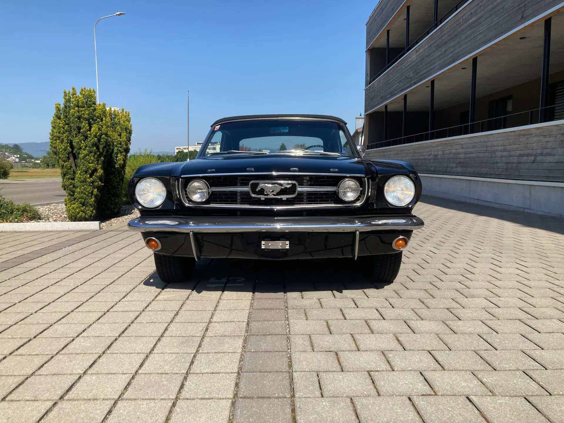 Ford Mustang 1966 occasion Berneck — 4