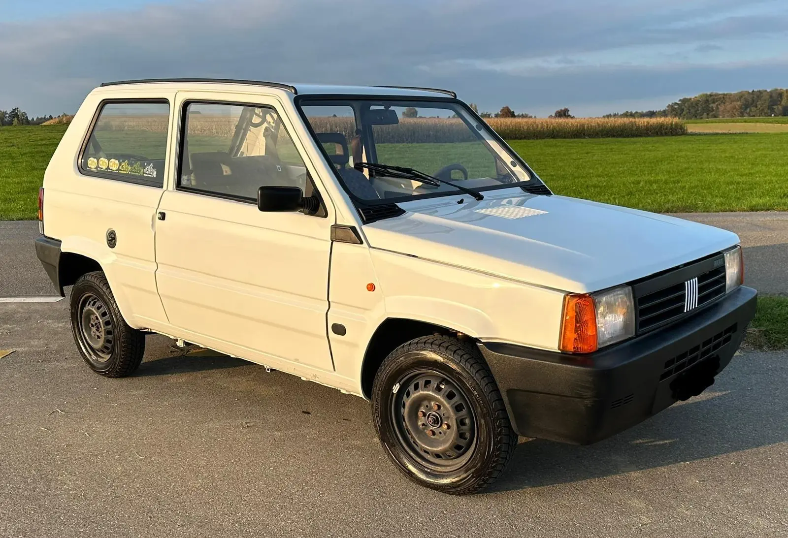 Fiat Panda 1996 occasion Sulgen — 2
