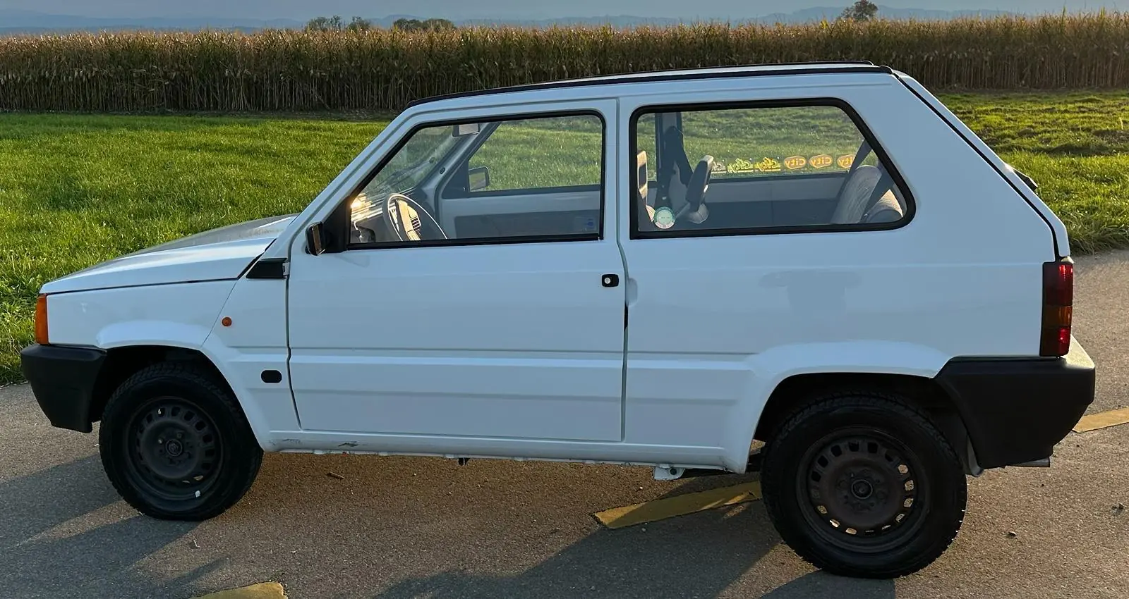 Fiat Panda 1996 occasion Sulgen — 3