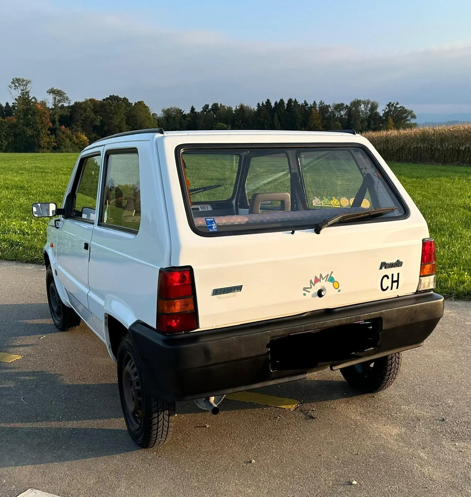 Fiat Panda 1996 occasion Sulgen — 4