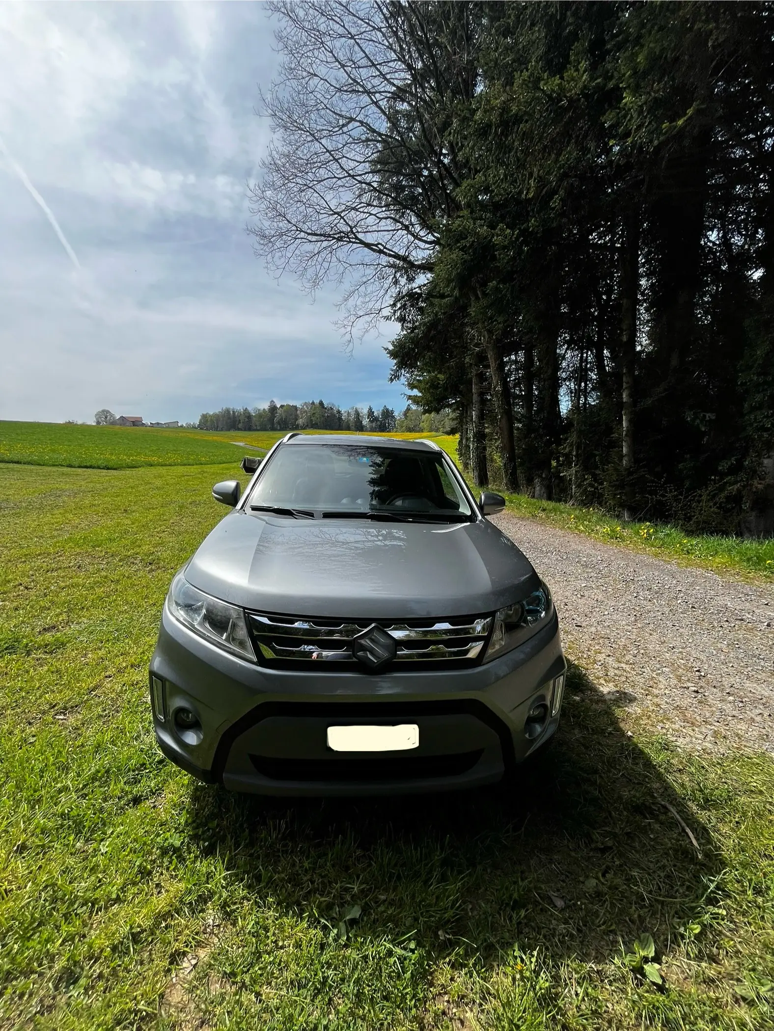 Suzuki Vitara 2015 occasion Romont — 3
