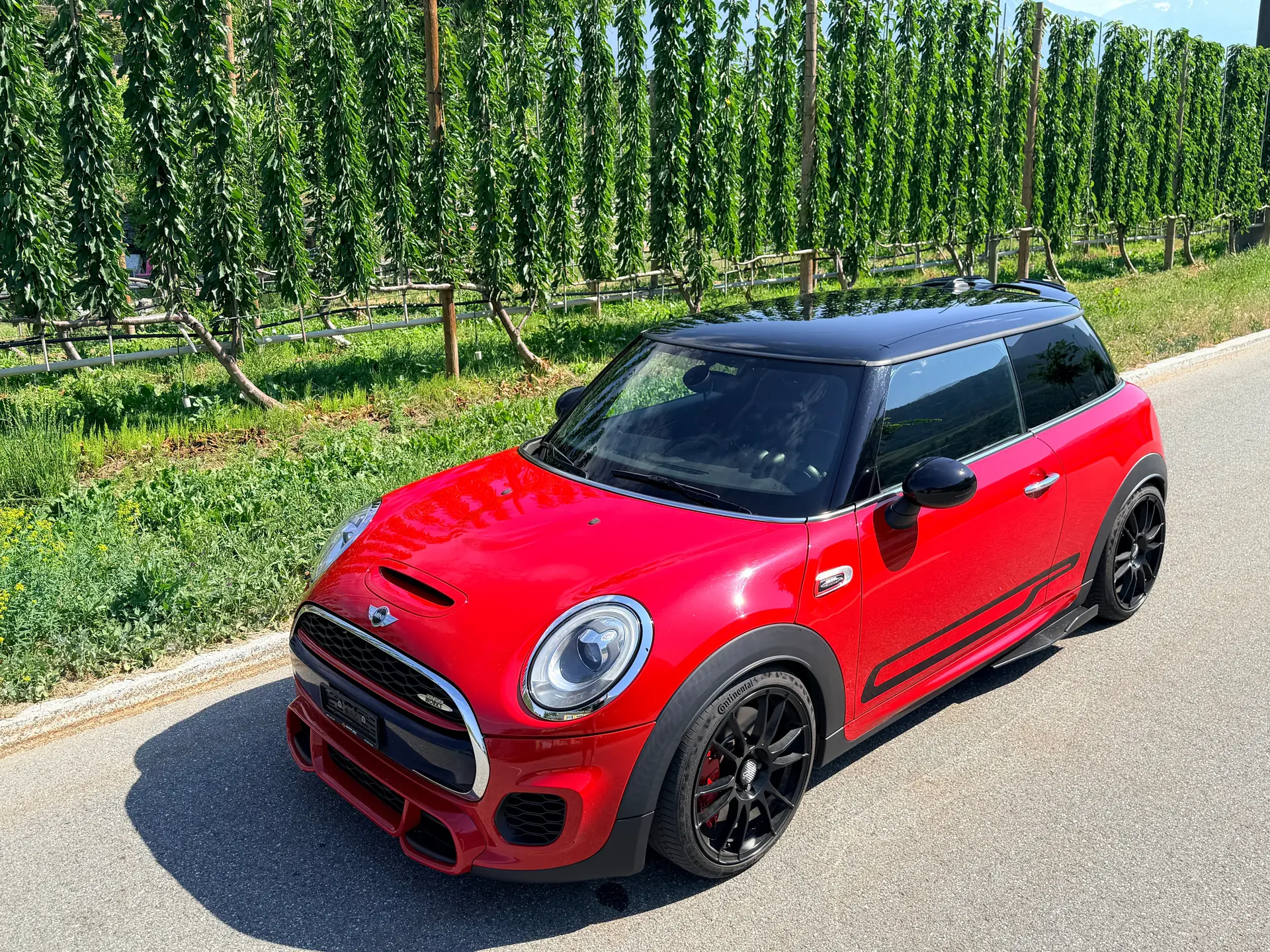MINI Mini 2016 occasion St-Luc — 5