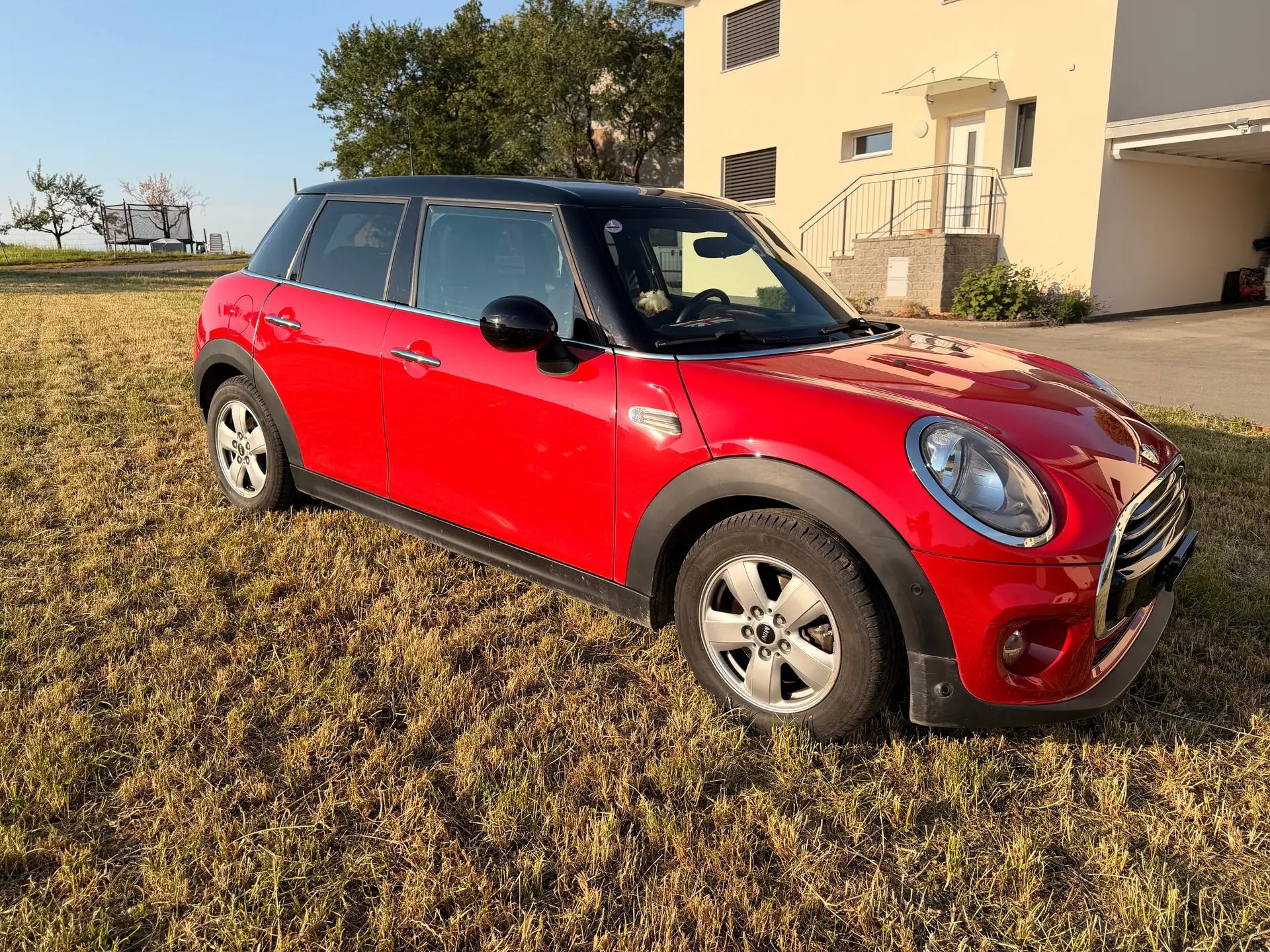 MINI Mini 2017 occasion Delley — 2