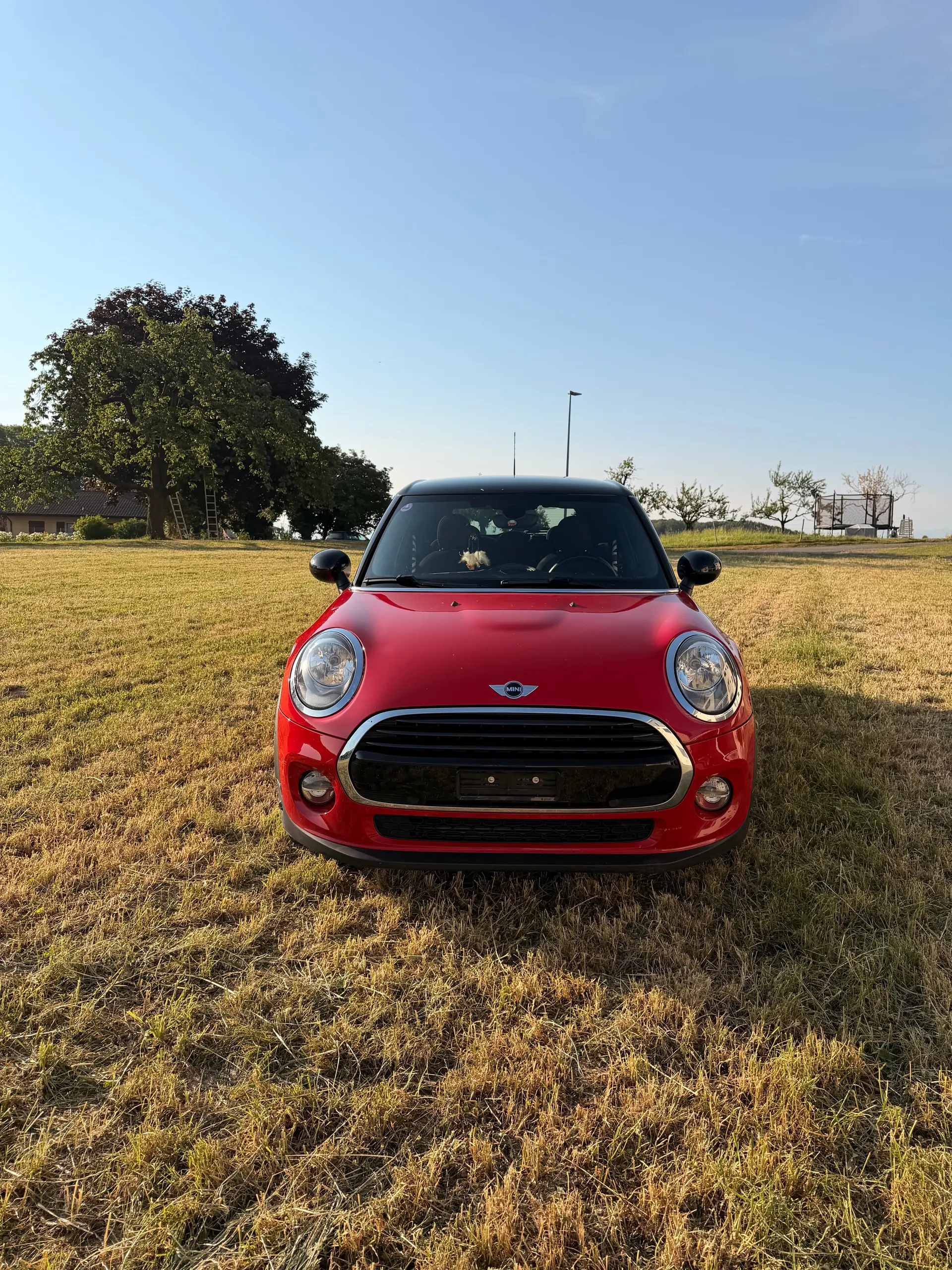 MINI Mini 2017 occasion Delley — 5