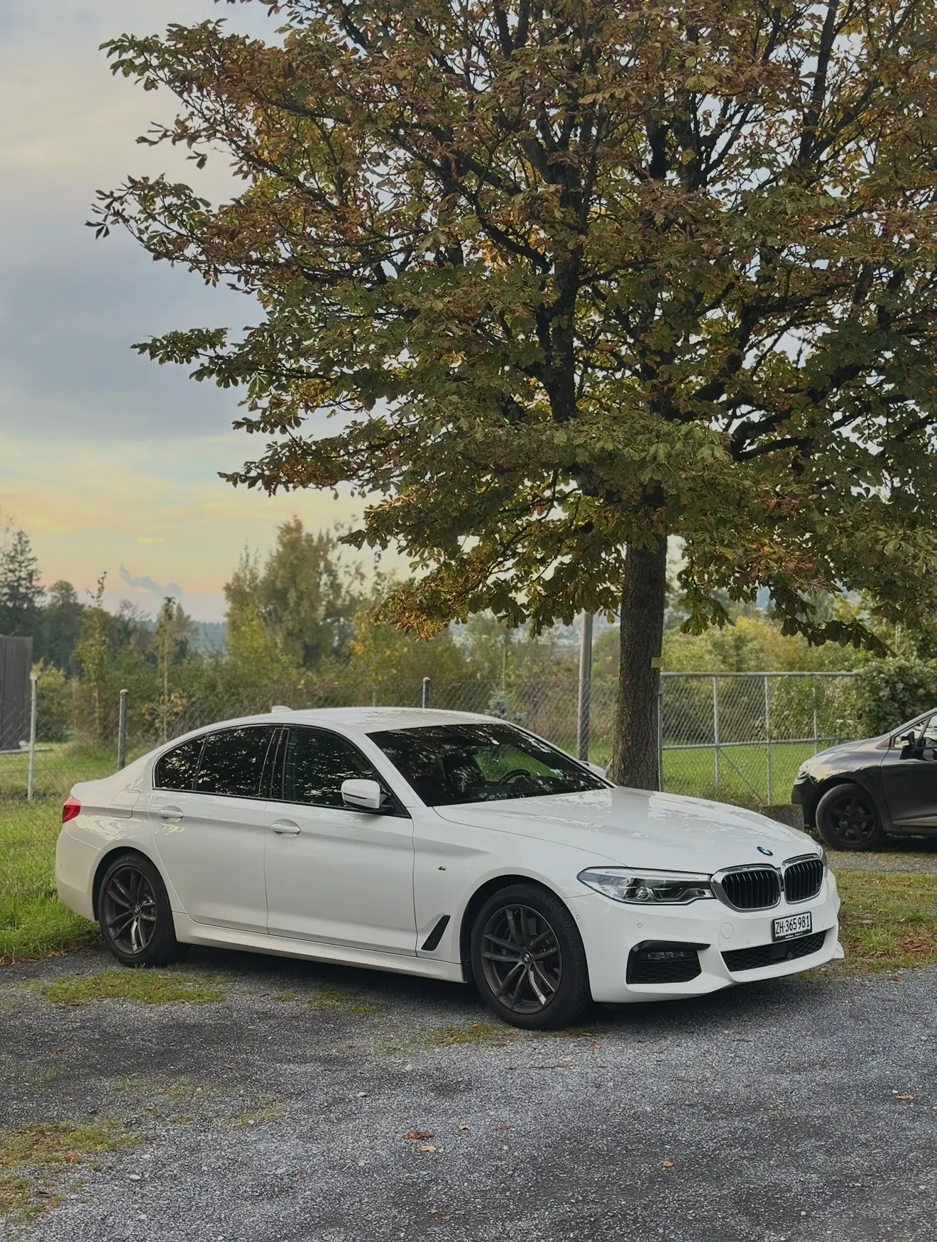 BMW 530 2019 occasion Schlieren — 1