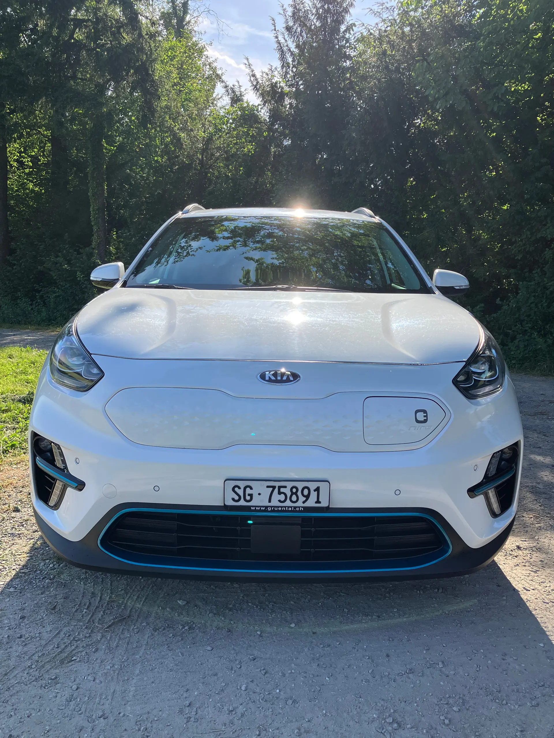 Kia E Niro 2021 occasion Steinach — 4
