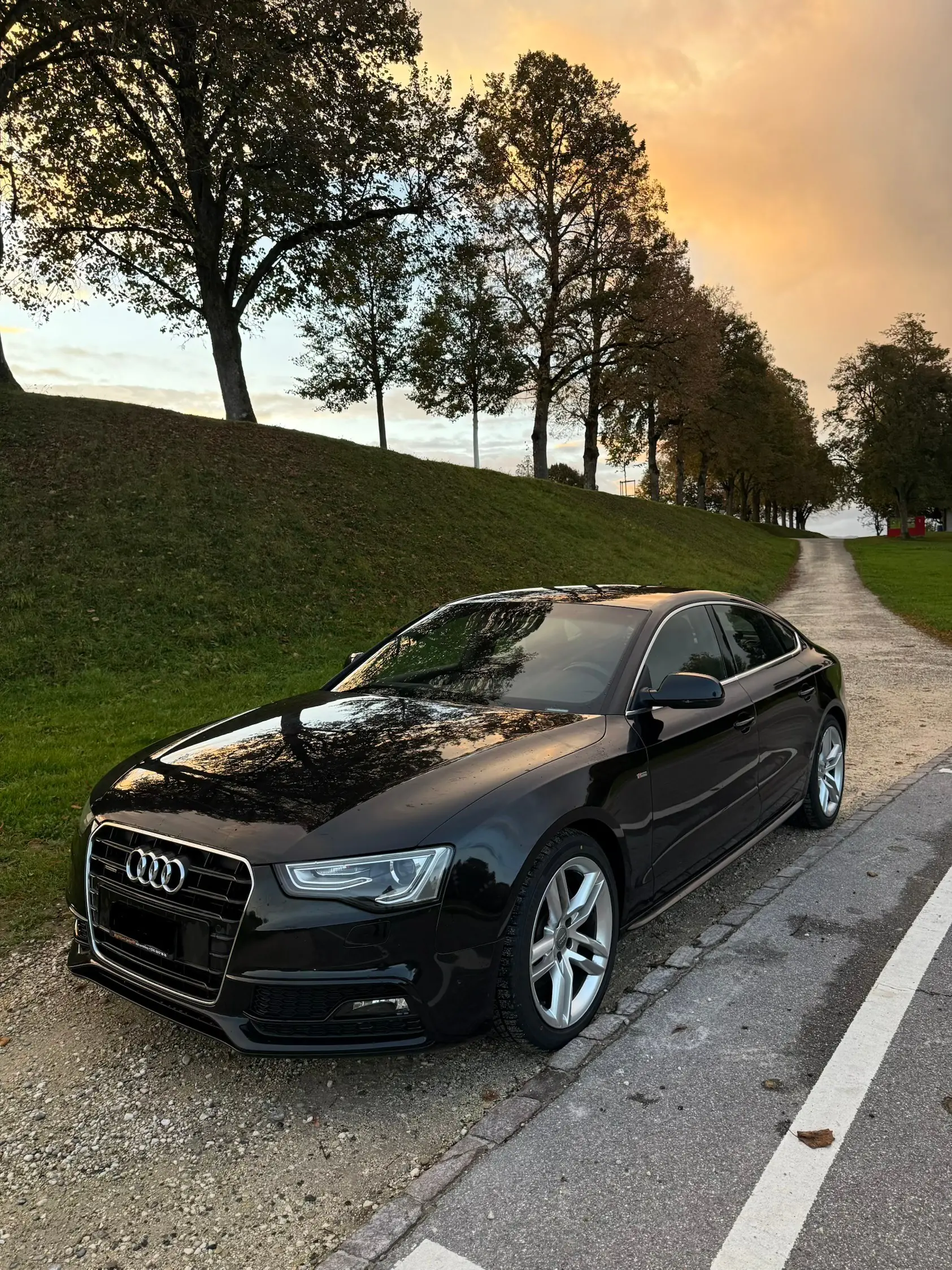 Audi A5 2.0 TFSI quattro — Coupé sportif 211 ch, sans accident