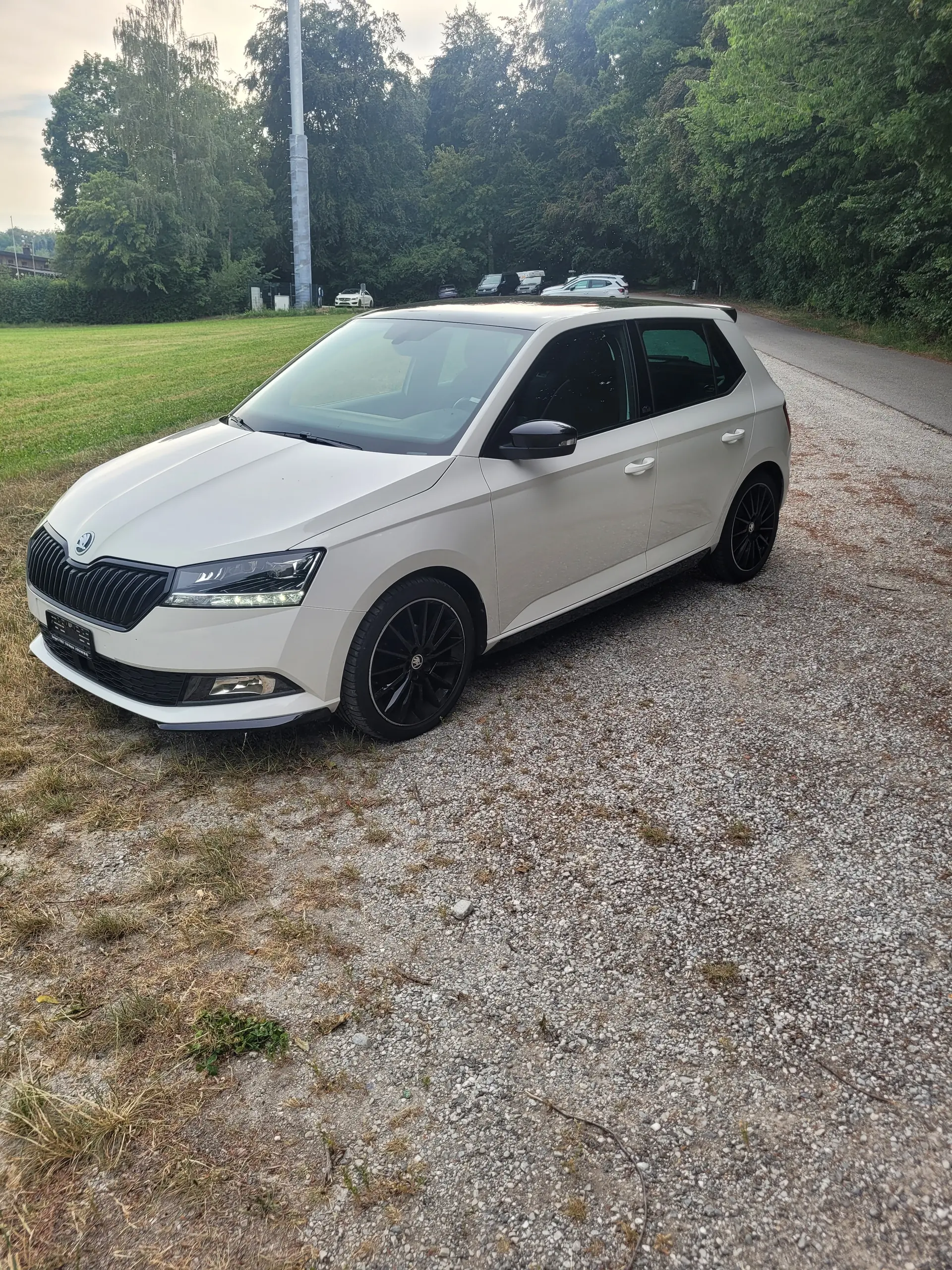 Skoda Fabia 2020 occasion NEYRUZ — 2