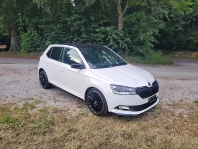Skoda Fabia 1.0 TSI Monte Carlo — Citadine pétillante, 103'000 km, sans accident — vue extérieure