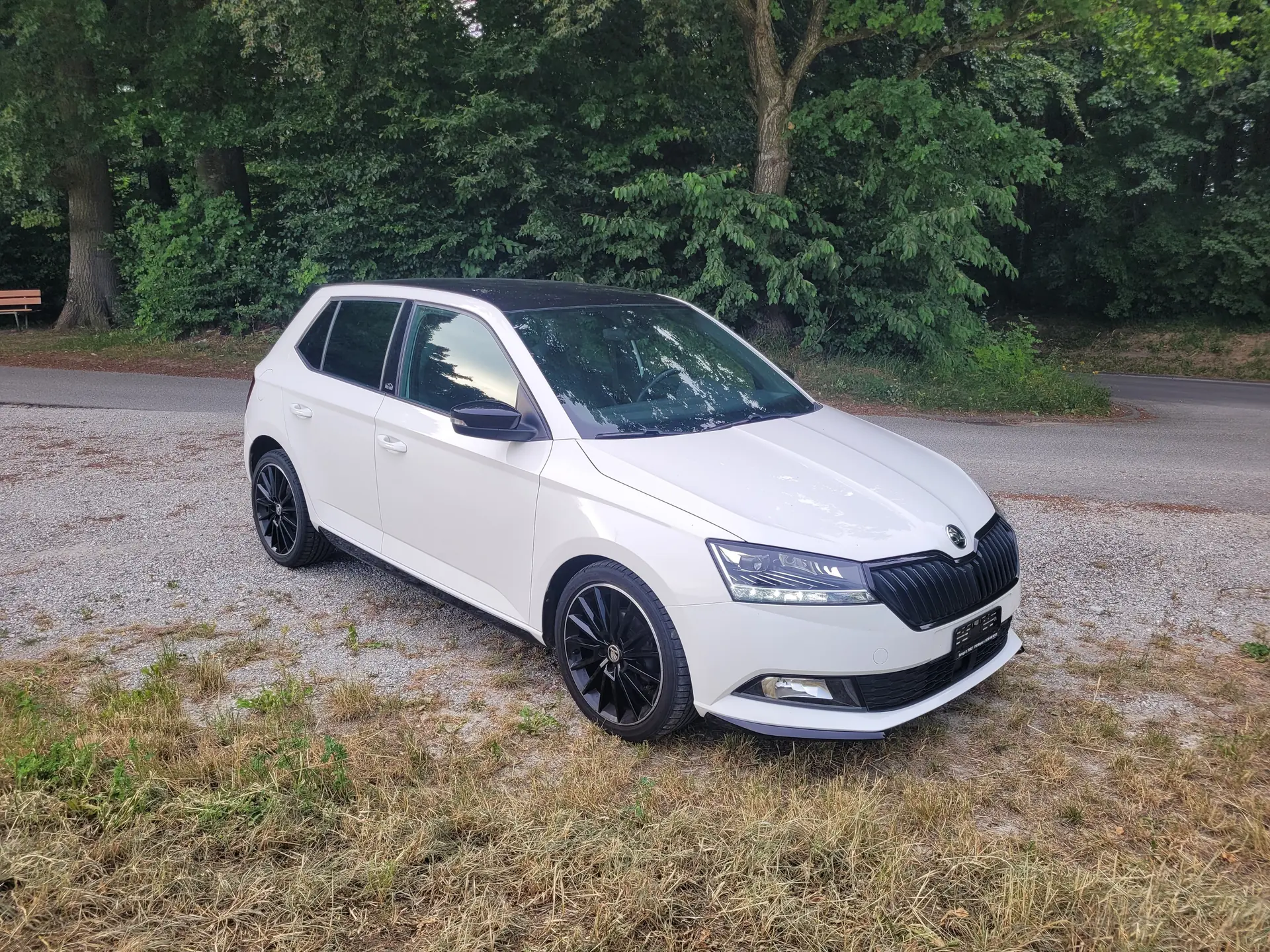 Skoda Fabia 1.0 TSI Monte Carlo — Citadine pétillante, 103'000 km, sans accident