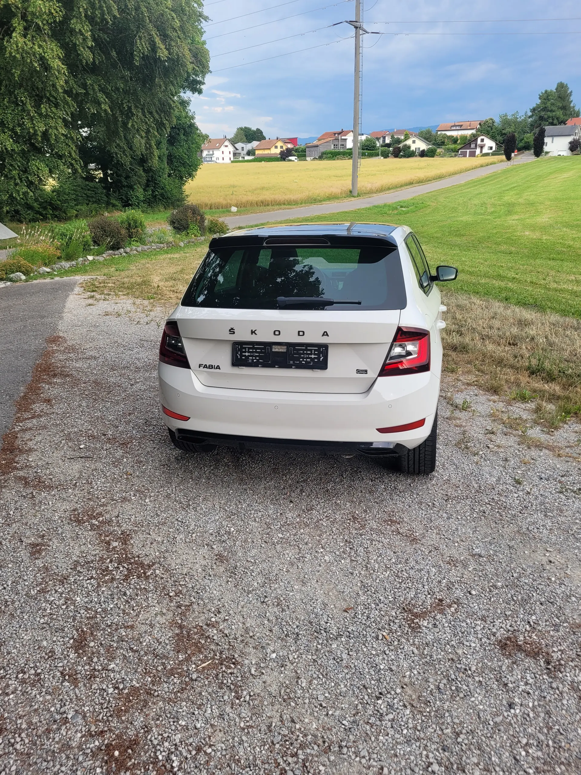 Skoda Fabia 2020 occasion NEYRUZ — 3