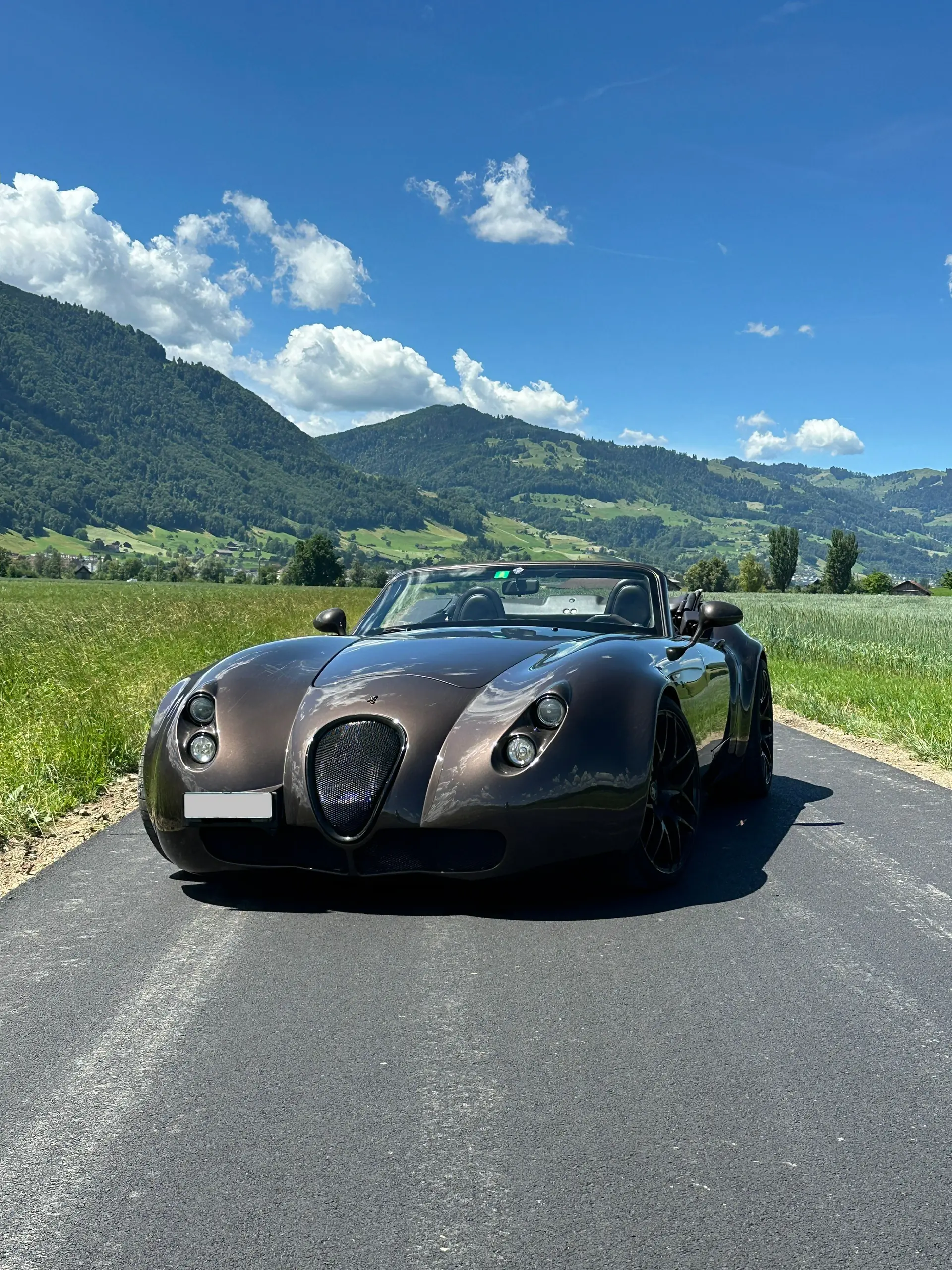 Wiesmann Roadster 2018 occasion Lachen — 1