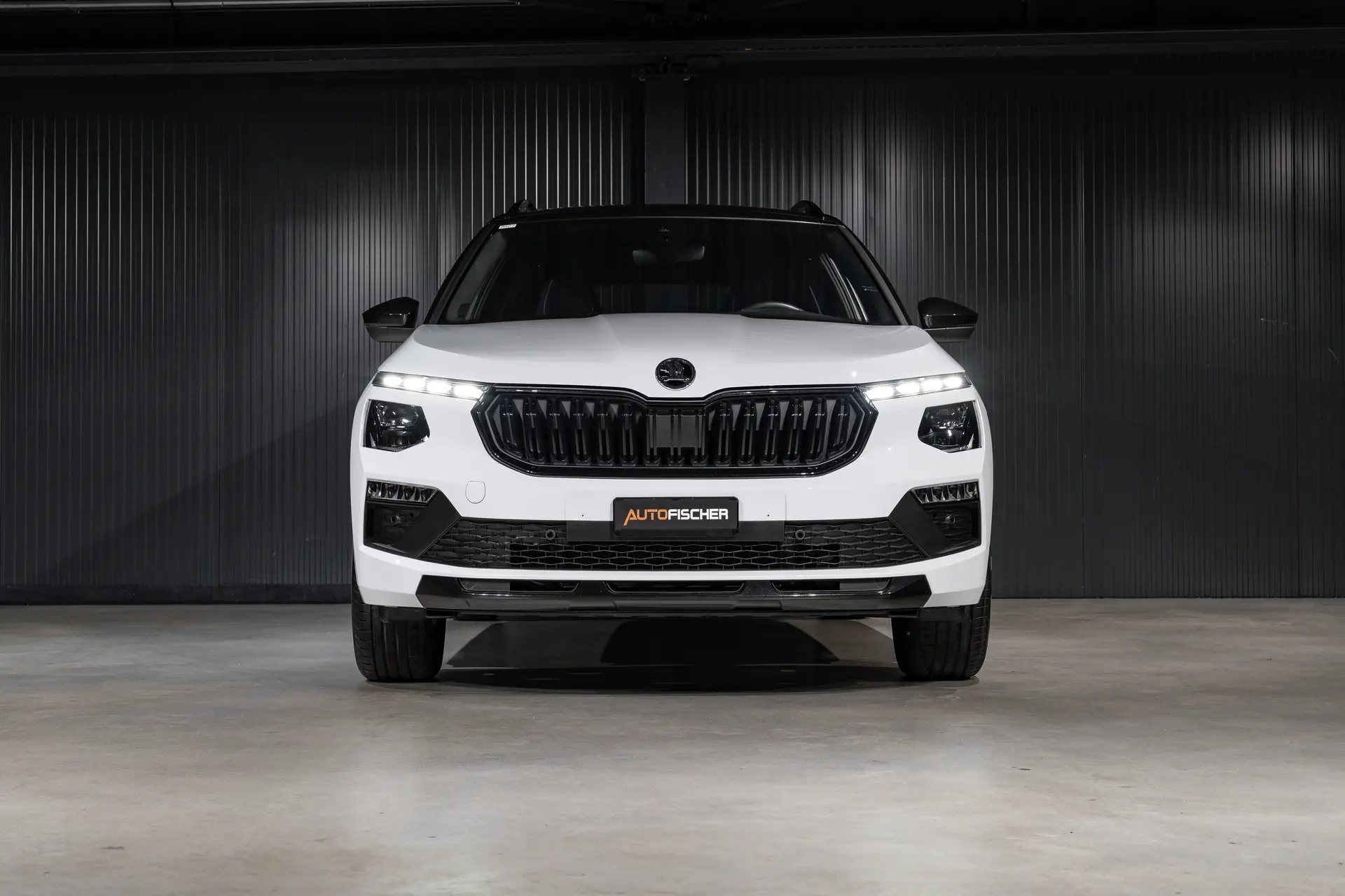 Skoda Kamiq 2025 occasion Ettingen — 4