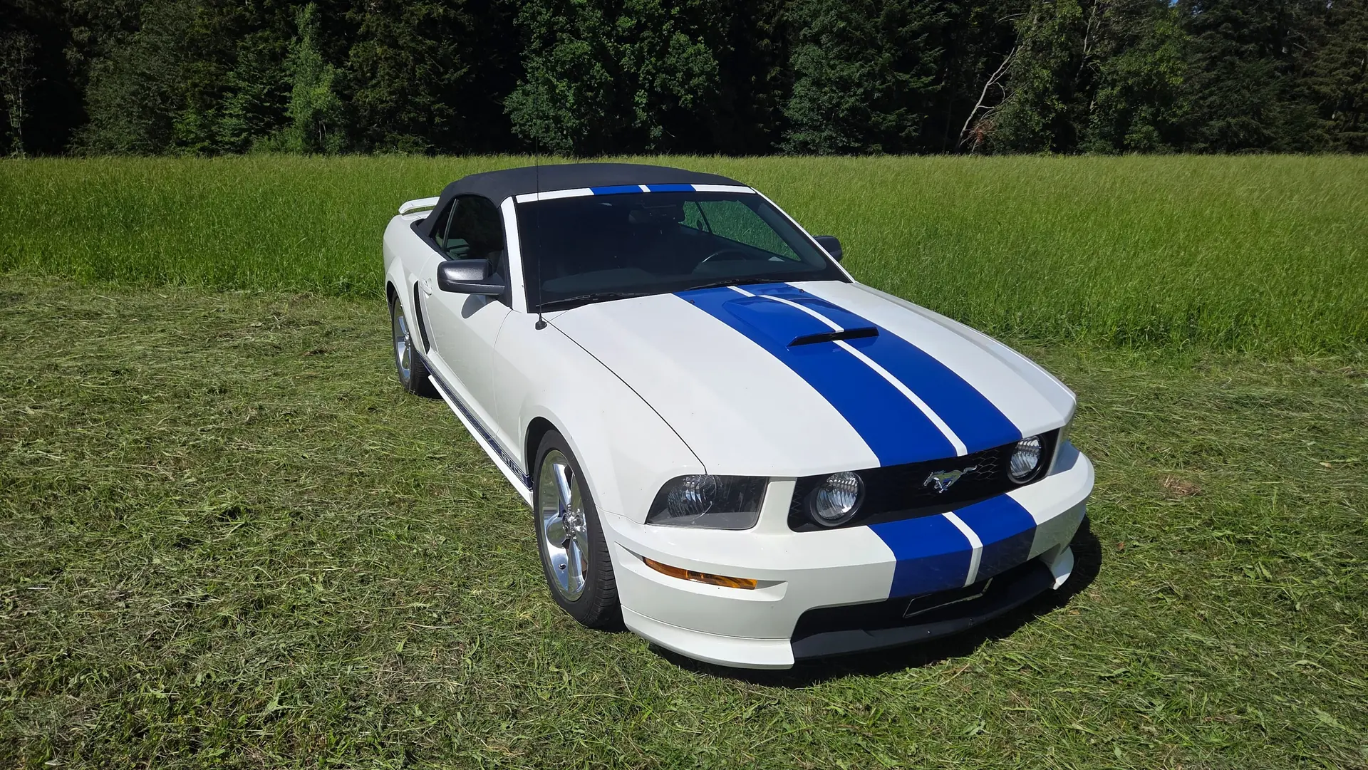 Ford Mustang 2007 occasion Niederwangen BE — 1